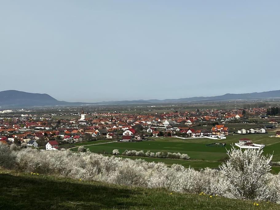 Вилла Pineview Lempes Брашов Экстерьер фото
